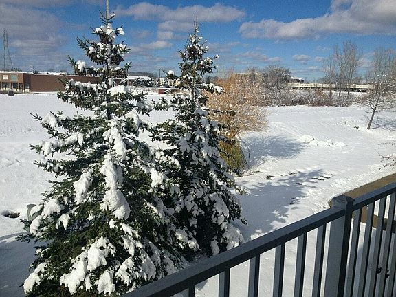 5th image of 43227 Woodbridge Dr
