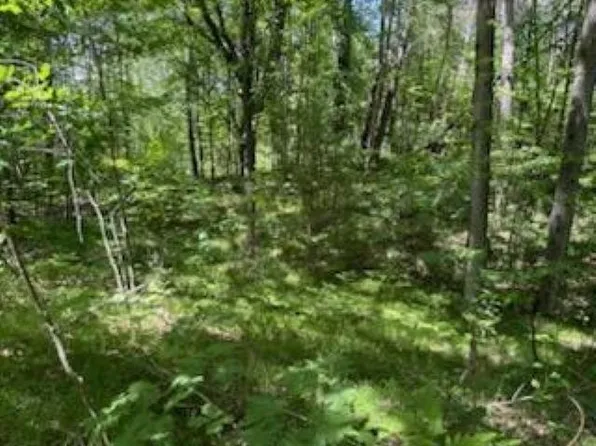 116-117 118 Donna Dr, Lake, MI 48632