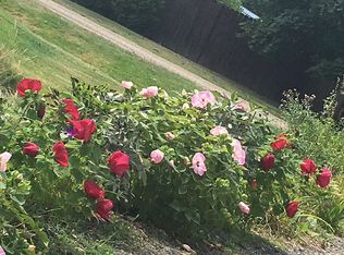 8064 Euclid Ave, Northville, MI 48168