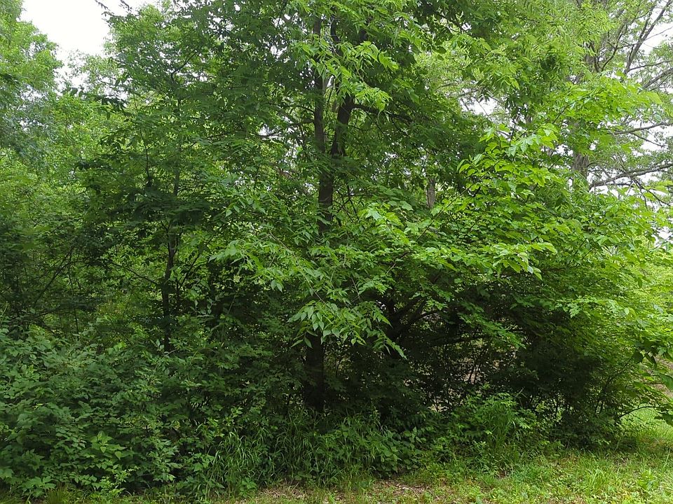 2098 E 2070th Ave, Saint Elmo, IL 62458 Zillow