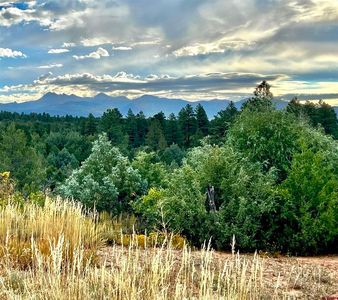 TBD Road 38, Mancos, CO, 81328