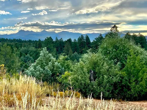 TBD Road 38, Mancos, CO 81328