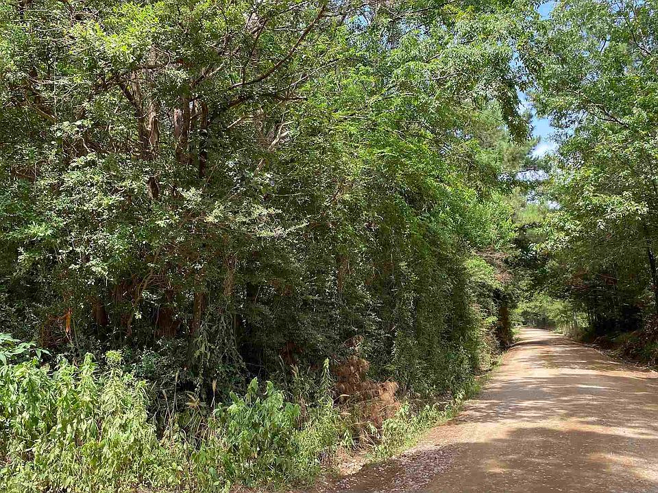 2nd image of 224 County Road 4360
