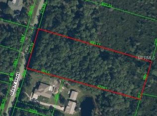 69 Olcott Dr, Wesley Chapel, FL 33544