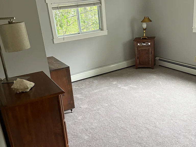 399 Atlantic Ave #2B — Photo 18