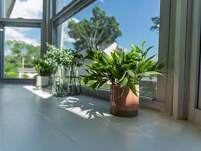 Window View