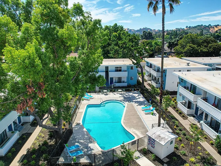 The Camellia on Buck | Pool