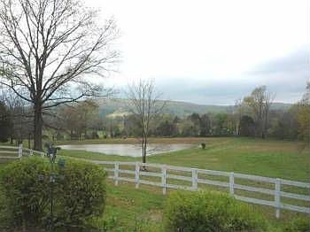 3rd image of 310 Blooming Acres Ln