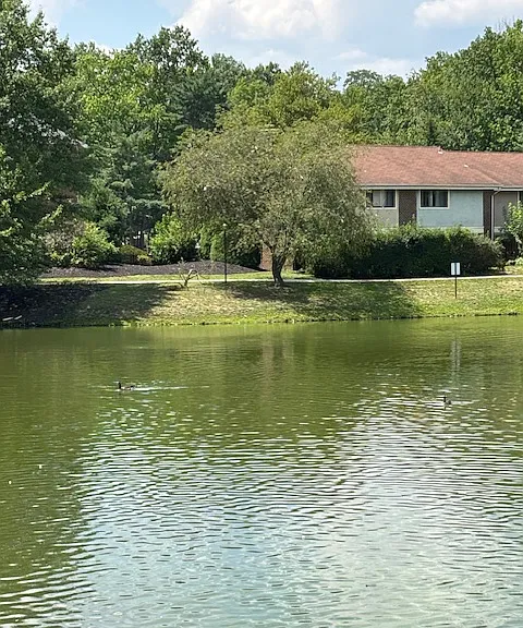 View of Pond from a different angle