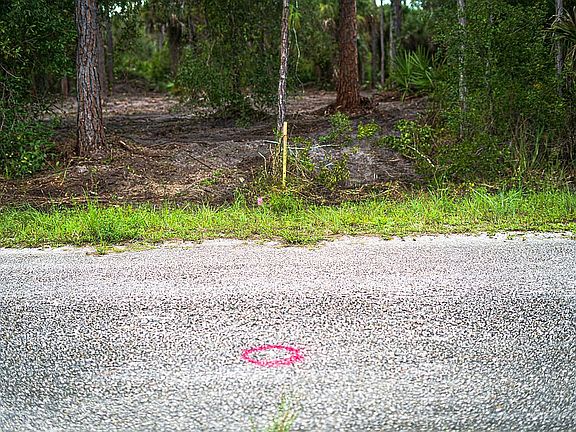 Land Been Surveyed!