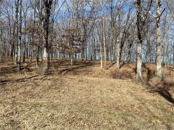Three Creek Rd, Preston, MO 65732