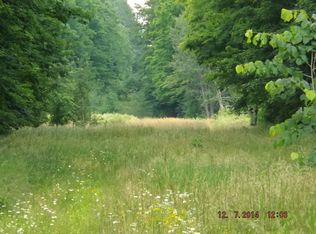 11351 Hetherton Rd, Johannesburg, MI 49751