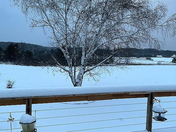 Backyard balcony view