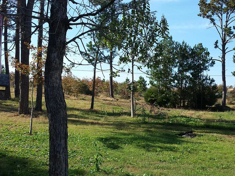 828 Highway 71 E — Photo 9