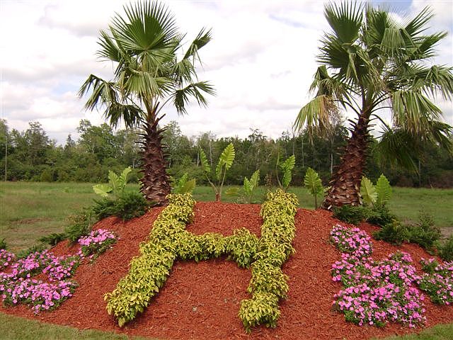 1st image of 208 Sawgrass Trl