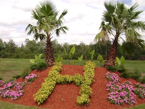 208 Sawgrass Trl, Statesboro, GA 30458