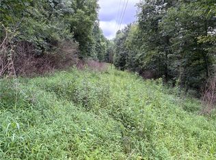 Grainger Hill Rd, Zanesville, OH 43701