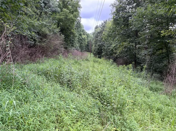 Grainger Hill Rd, Zanesville, OH 43701