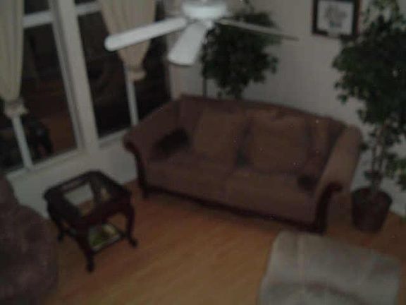 2nd image of 1063 Sandy Banks Drive