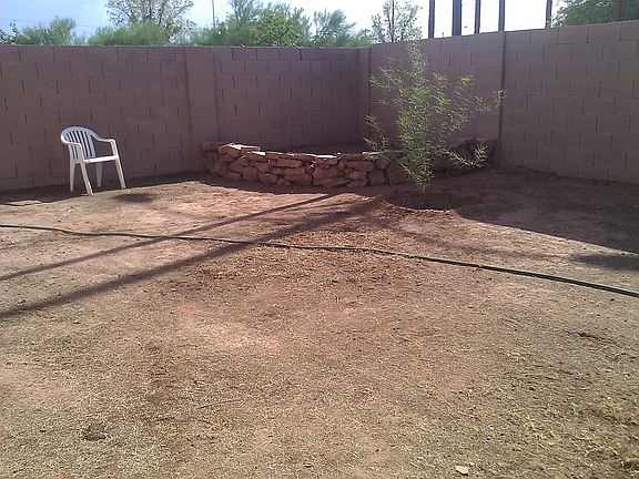 Private back yard (tree is much larger now!)