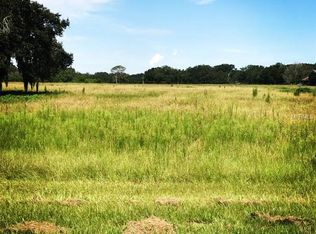 13845 Darby Park Ln, Dade City, FL 33525