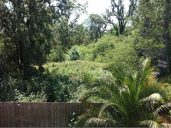 View out back