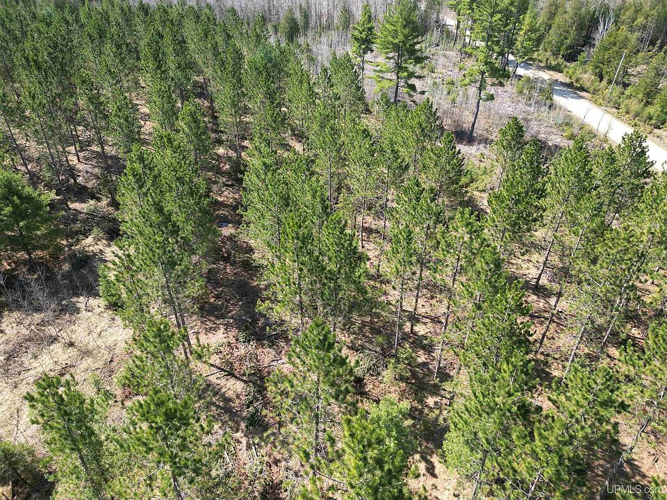 Gustafson Rd 40, Hermansville, MI 49847 Zillow