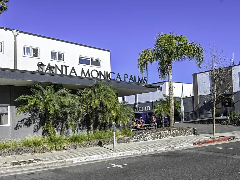 Santa Monica Palms — Photo 9