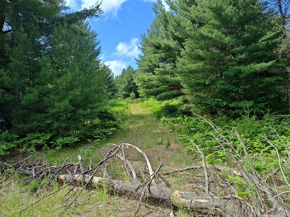 2nd image of LOT 1 Red Hawk Trl