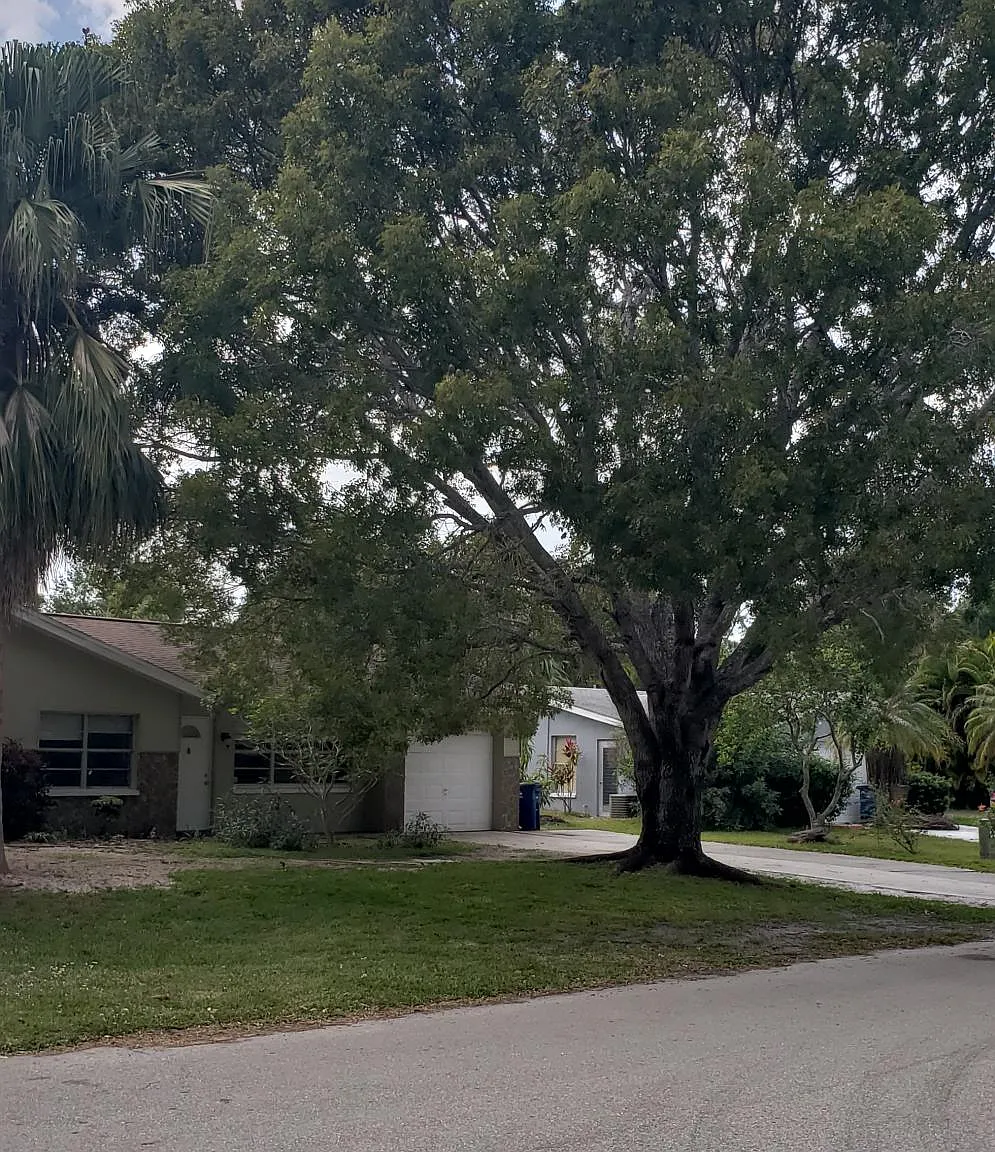 1591 Sunkist Way — Photo 3