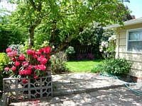 Colorful Back Yard