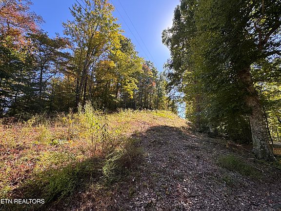 4th image of Roe Ln #9-005.03