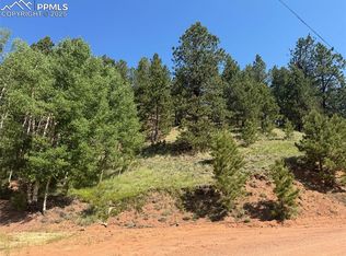 281 Pikes Peak Dr, Divide, CO 80814