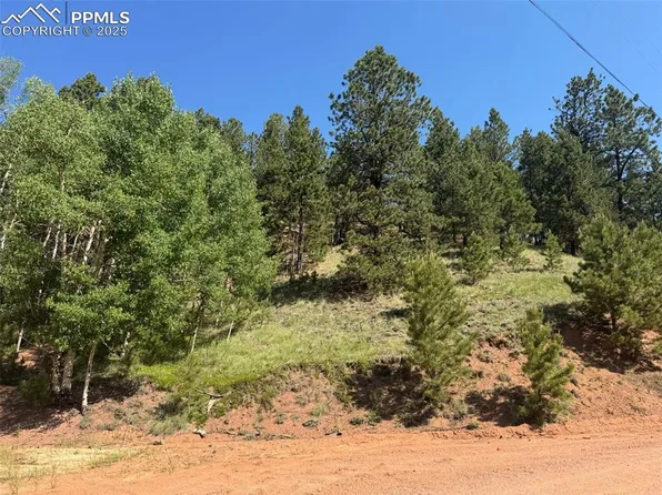 281 Pikes Peak Dr, Divide, CO 80814