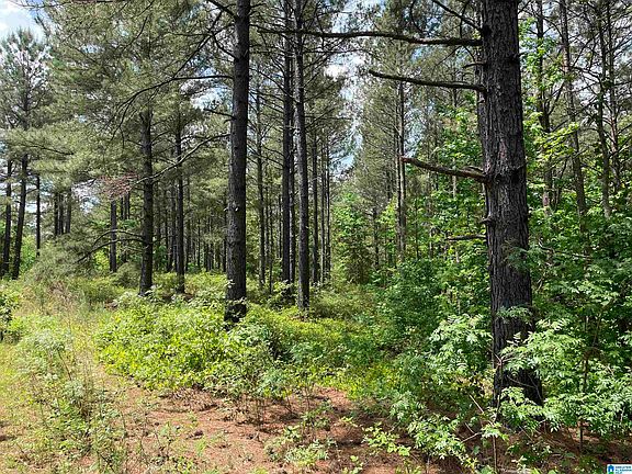 3rd image of 0 County Road 268 #1