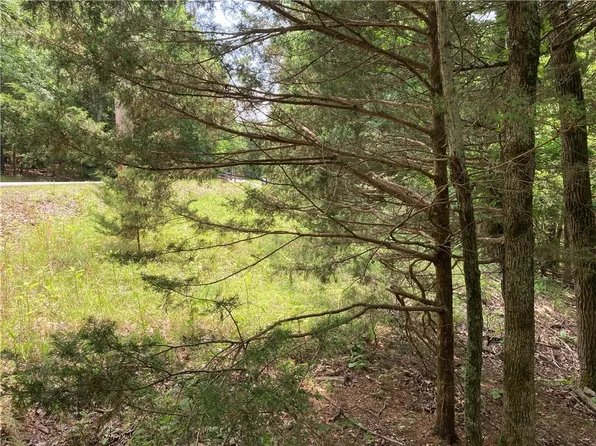 Pine Dr #39, Garfield, AR 72732