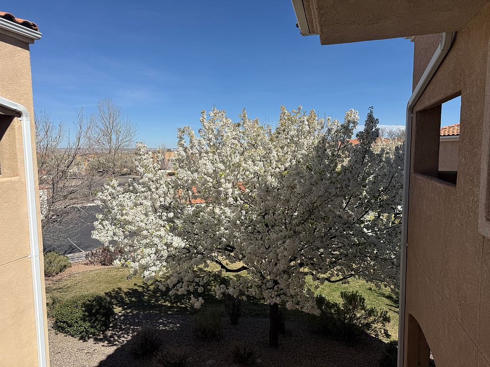 1st image of 6800 Vista Del Norte Rd NE APT 923