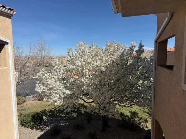 6800 Vista Del Norte Rd NE, Albuquerque, NM