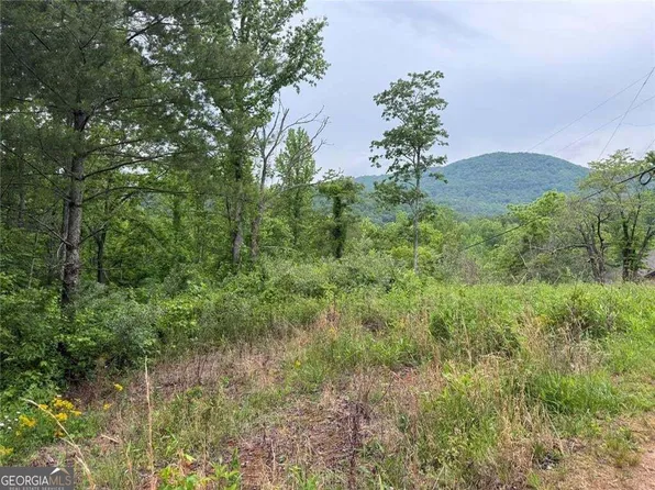 LOT 7D Meadow View Ln, Cleveland, GA 30528