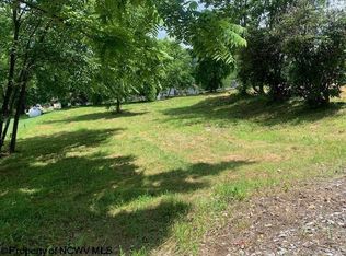 254 3rd St, Belington, WV 26250