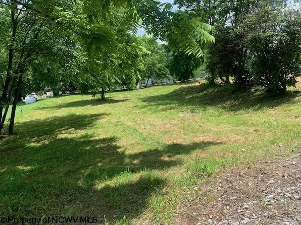 254 3rd St, Belington, WV 26250