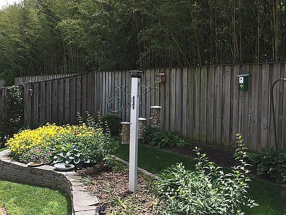 Landscaped backyard