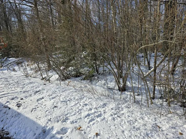 V/l 28ac N Everett Rd, Roscommon, MI 48653