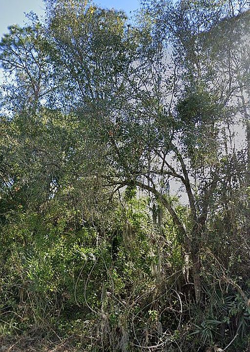 2nd image of Copper Leaf Ln