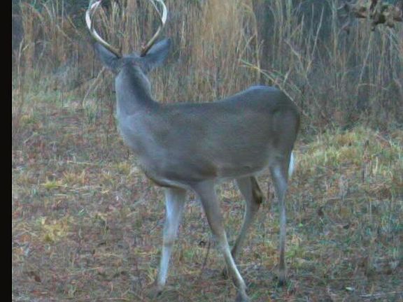 4th image of Miller Rd Lot 8