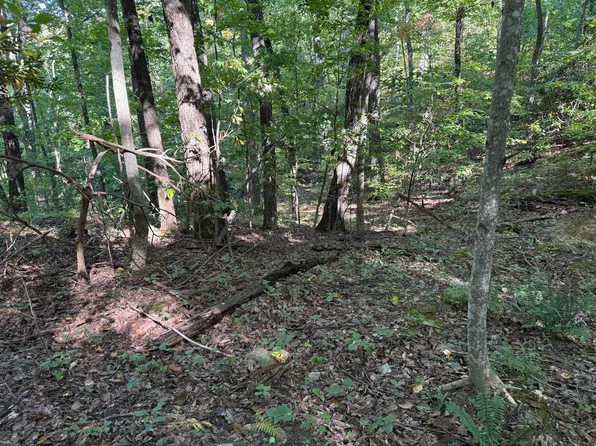 0 Luna Way, Parrottsville, TN 37843