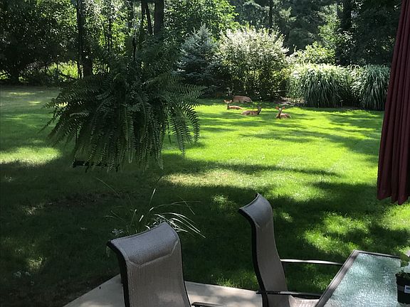 3rd image of 3310 Fairhill Dr