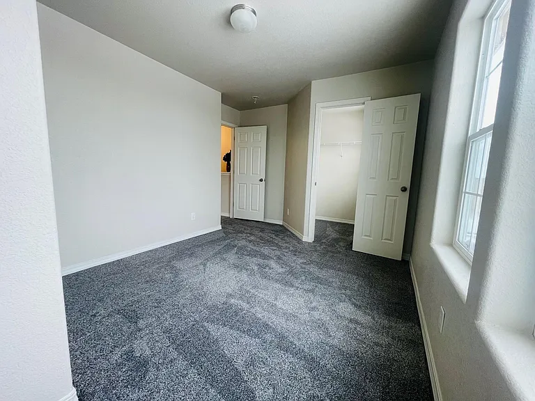 7721 Crestone Peak Trl — Photo 28