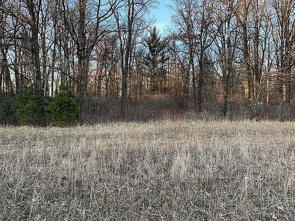 Woods with food plot
