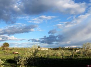 171 County Road 103, Hesperus, CO 81326